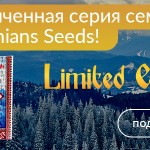 Carpathians Seeds: Limited Edition
